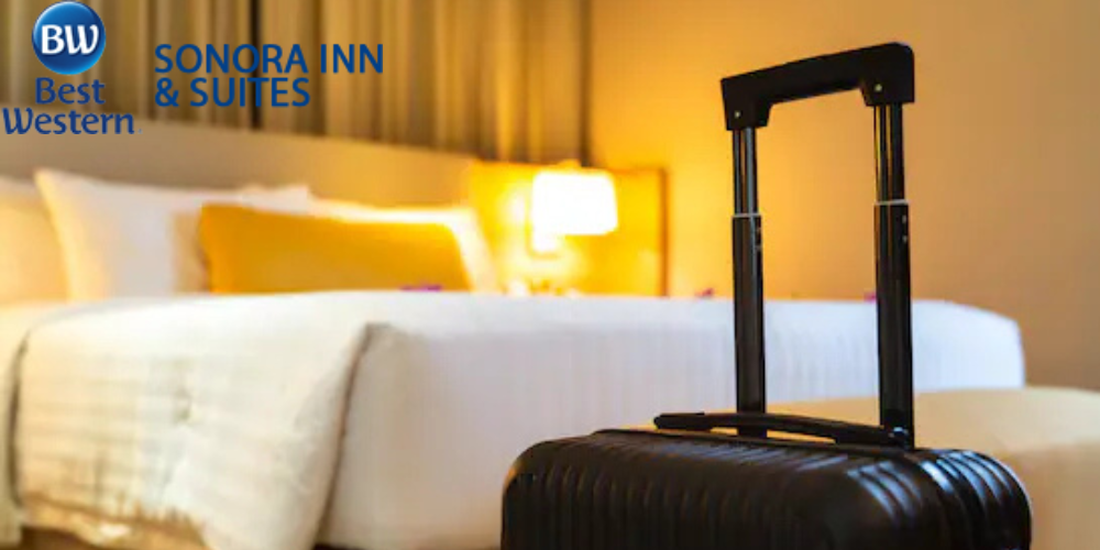 From Check-In to Check-Out: The Hidden Moments That Define a Hotel Stay