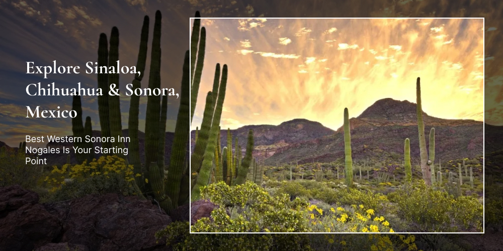 Explore Sinaloa, Chihuahua & Sonora, Mexico — Best Western Sonora Inn Nogales Is Your Starting Point