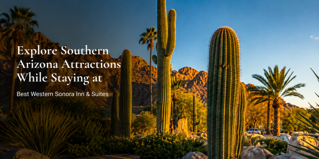 Explore Southern Arizona Attractions While Staying at Best Western Sonora Inn & Suites